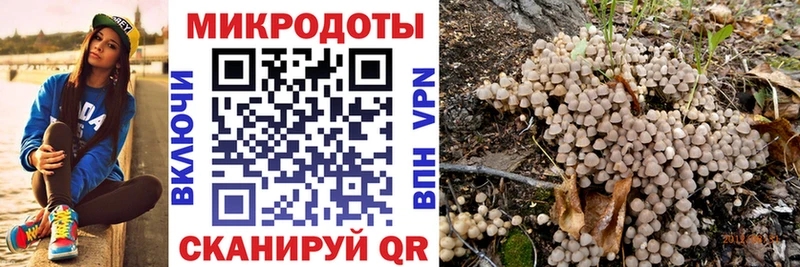 Псилоцибиновые грибы прущие грибы  OMG зеркало  Ессентукская 